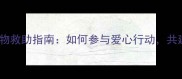 上海流浪宠物救助指南如何参与爱心行动共建和谐社区
