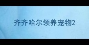 齐齐哈尔领养宠物