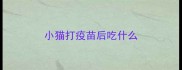 小猫打疫苗后吃什么