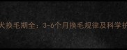 加纳利犬换毛期全3-6个月换毛规律及科学护理指南