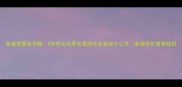 泰迪变黑全攻略3年养出乌黑发亮的毛色秘诀大公开泰迪养护宠物知识