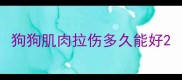 狗狗肌肉拉伤多久能好