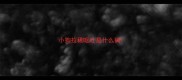 小狗拉稀呕吐是什么病