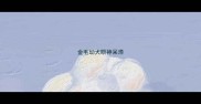金毛幼犬眼神呆滞