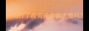 狗狗打了疫苗还会的犬瘟吗