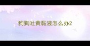 狗狗吐黄黏液怎么办