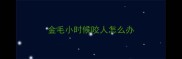 金毛小时候咬人怎么办