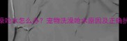 小狗洗澡呛水怎么办宠物洗澡呛水原因及正确护理指南