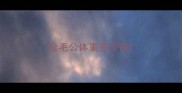 金毛公体重多少钱
