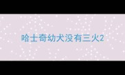 哈士奇幼犬没有三火