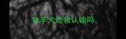 牧羊犬边牧认输吗
