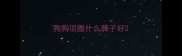 狗狗项圈什么牌子好