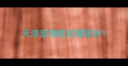 天津宠物医院哪家好