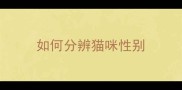如何分辨猫咪性别