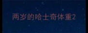 两岁的哈士奇体重