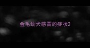 金毛幼犬感冒的症状
