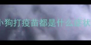 小狗打疫苗都是什么症状