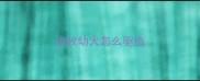 边牧幼犬怎么驱虫