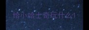 给小哈士奇玩什么