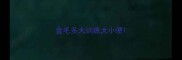 金毛多大训练大小便