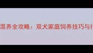 边牧拉布拉多混养全攻略双犬家庭饲养技巧与行为管理指南