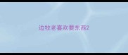 边牧老喜欢要东西