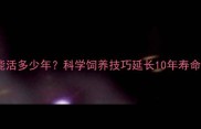 哈士奇寿命表平均能活多少年科学饲养技巧延长10年寿命附健康养护指南