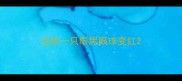 边牧一只眼黑眼球变红