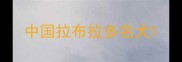 中国拉布拉多名犬