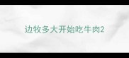 边牧多大开始吃牛肉