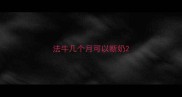 法牛几个月可以断奶