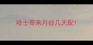 哈士奇来月经几天配