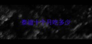 泰迪十个月吃多少