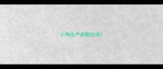 小狗生产前呕吐吗