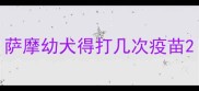 萨摩幼犬得打几次疫苗