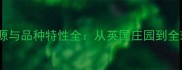 金毛寻回猎犬的起源与品种特性全从英国庄园到全球宠物的黄金时代
