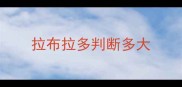 拉布拉多判断多大