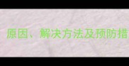 边境牧羊犬叫声嘶哑全原因解决方法及预防措施附专业兽医建议