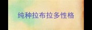 纯种拉布拉多性格