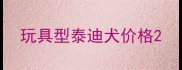 玩具型泰迪犬价格