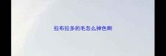 拉布拉多的毛怎么掉色啊