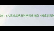 哈士奇常见疾病全5大高发疾病及科学饲养指南附症状识别与预防措施