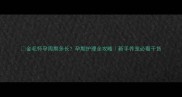金毛怀孕周期多长孕期护理全攻略新手养宠必看干货