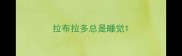拉布拉多总是睡觉