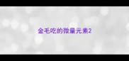 金毛吃的微量元素
