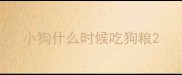 小狗什么时候吃狗粮