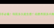 天竺鼠繁殖全攻略新手必看母鼠多久能生崽幼崽养到多大断奶附超详细流程图
