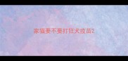 家猫要不要打狂犬疫苗