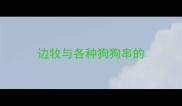 边牧与各种狗狗串的