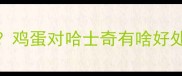 哈士奇能不能吃鸡蛋鸡蛋对哈士奇有啥好处和禁忌新手必看